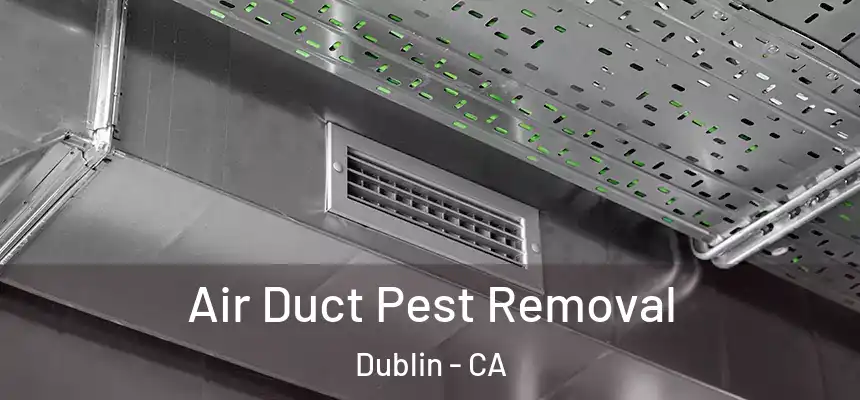  Air Duct Pest Removal Dublin - CA