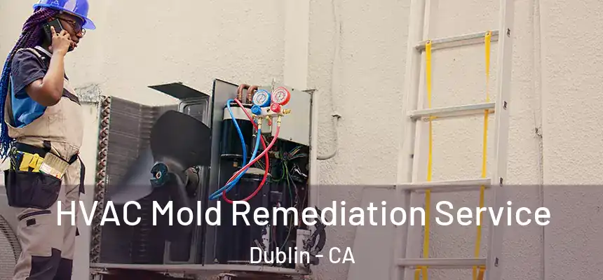 HVAC Mold Remediation Service Dublin - CA