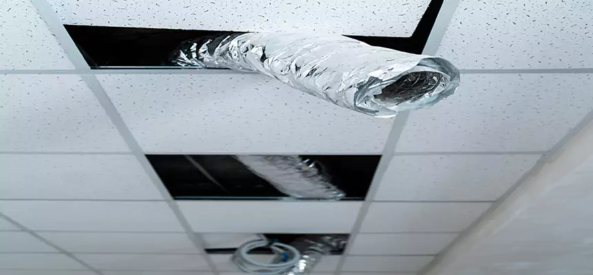 Our Air Duct Pet Hair Removal Services in Dublin, CA