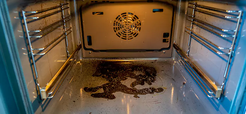 Our Dryer Vent Mold Cleaning Services in Dublin, CA