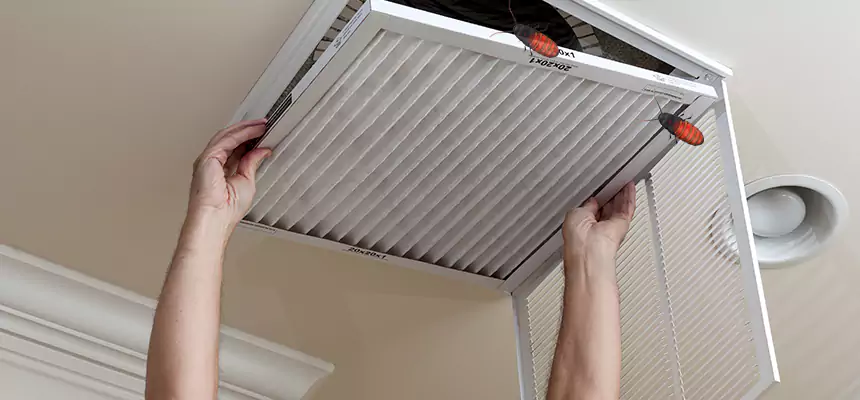 Our Insect Removal from Air Ducts Services in Dublin, CA