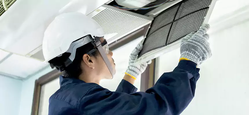 Our Mold & Mildew Removal from Air Ducts Services in Dublin, CA