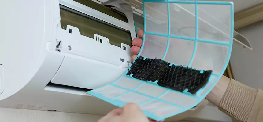 Gentle Ductwork Odor-Control Pet Dander Duct Cleaning in Dublin, CA