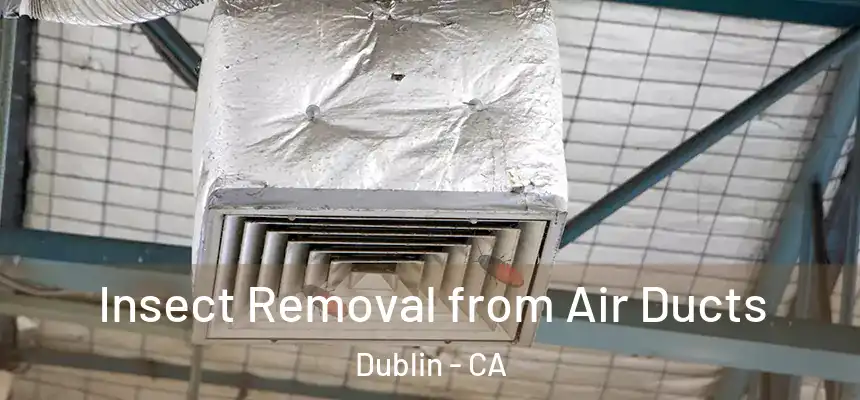 Insect Removal from Air Ducts Dublin - CA