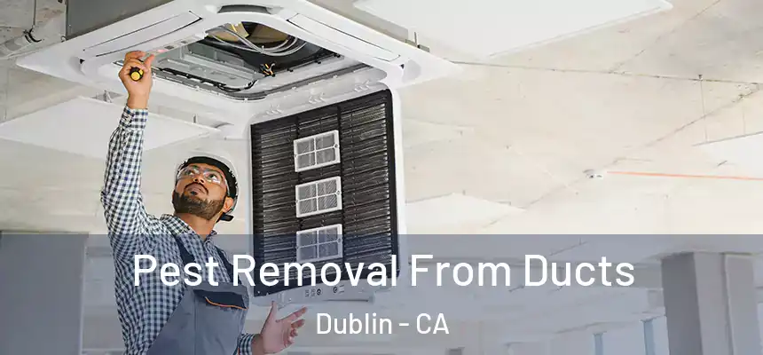 Pest Removal From Ducts Dublin - CA