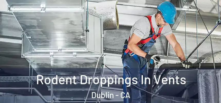  Rodent Droppings In Vents Dublin - CA