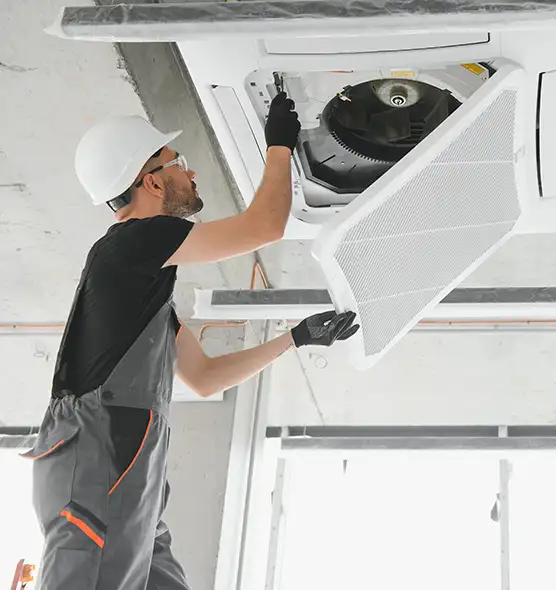 About Air Duct Rodent Removal in Dublin, CA