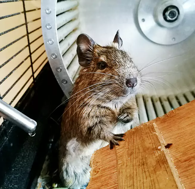 Why Homeowners & Businesses Trust Us Dublin, CA